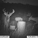 Hanke's Hunts Kansas Game Camera Photo