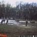 Hanke's Hunts Kansas Game Camera Photo
