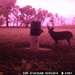 Hanke's Hunts Kansas Game Camera Photo