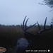 Hanke's Hunts Kansas Game Camera Photo