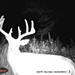 Hanke's Hunts Kansas Game Camera Photo