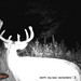 Hanke's Hunts Kansas Game Camera Photo