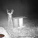 Hanke's Hunts Kansas Game Camera Photo