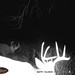 Hanke's Hunts Kansas Game Camera Photo