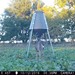 Hanke's Hunts Kansas Game Camera Photo