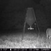 Hanke's Hunts Kansas Game Camera Photo