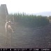 Hanke's Hunts Kansas Game Camera Photo