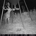 Hanke's Hunts Kansas Game Camera Photo