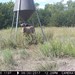 Hanke's Hunts Kansas Game Camera Photo