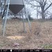 Hanke's Hunts Kansas Game Camera Photo