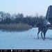 Hanke's Hunts Kansas Game Camera Photo