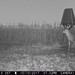 Hanke's Hunts Kansas Game Camera Photo