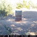 Hanke's Hunts Kansas Game Camera Photo