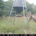 Hanke's Hunts Kansas Game Camera Photo